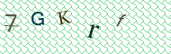 CAPTCHA code